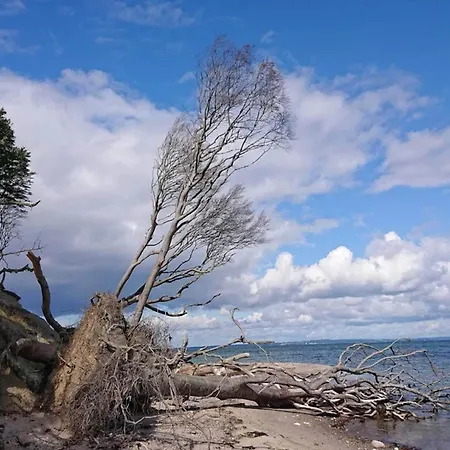 4 Person In Bogense-by Traum Tatil Evi Bogense