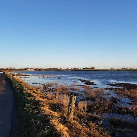 Tatil Evi 4 Person In Bogense-by Traum