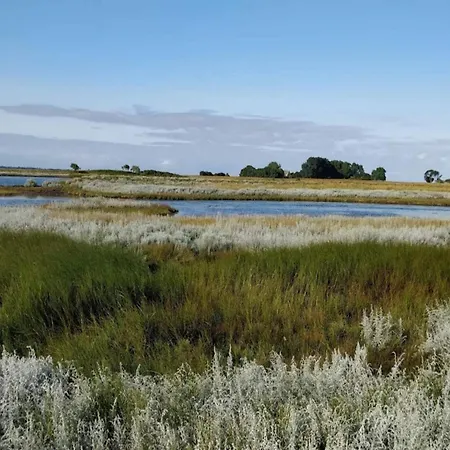 Tatil Evi 4 Person In Bogense-by Traum