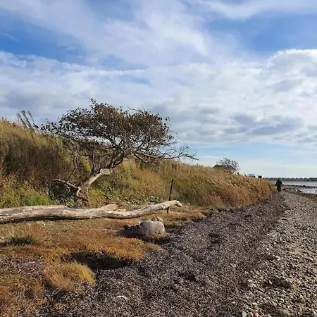 Tatil Evi 4 Person In Bogense-by Traum *